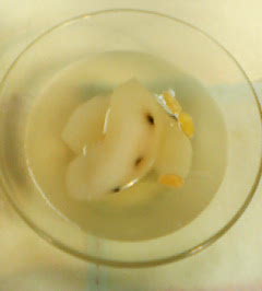 P1000440.JPG