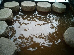 足湯.JPG