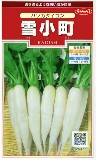 radish-white