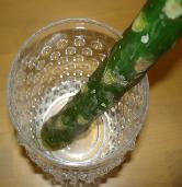白い液を出しながら・・・