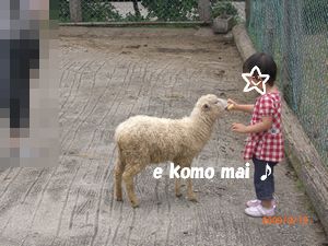 CIMG0818.JPG