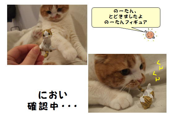 休日の猫２.jpg