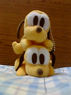 dog2