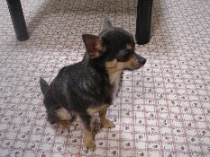 長女を見ているコウ