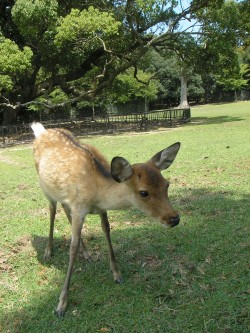 かなり慎重