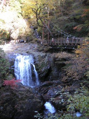 滝とl紅葉