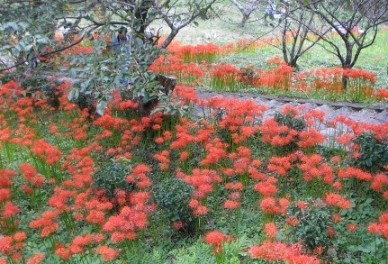 石段横は