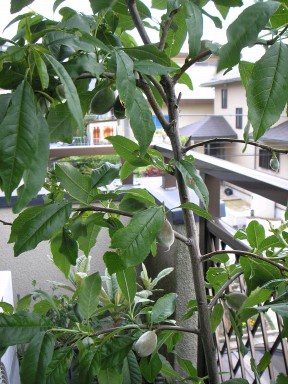 5月14日の全容？
