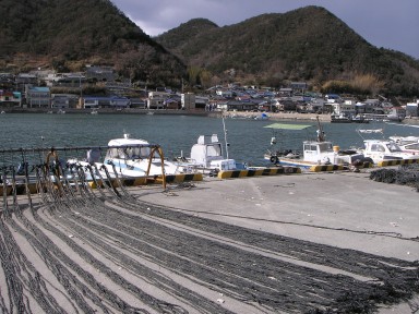 カキ養殖の網