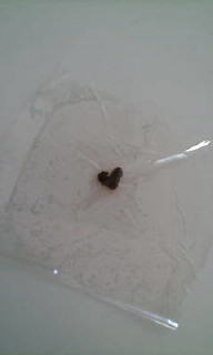 Heart tea leaf