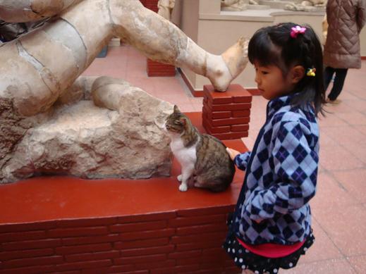 cat.JPG