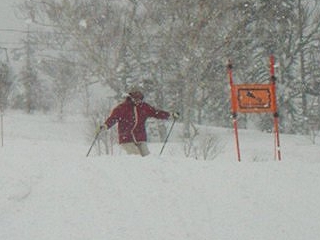 20060219国際　ちゃく奥　ポコジャン