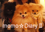 momo diary2