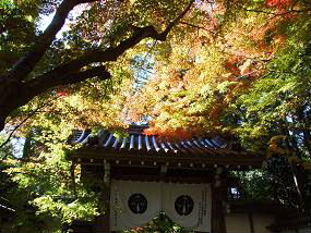 光明寺の山門