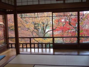 瑠璃光院　庭の風景