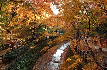 北野天満宮の川