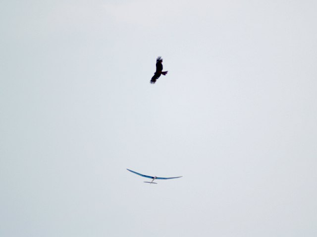 kP5066535 Web 表示用 (大).jpg