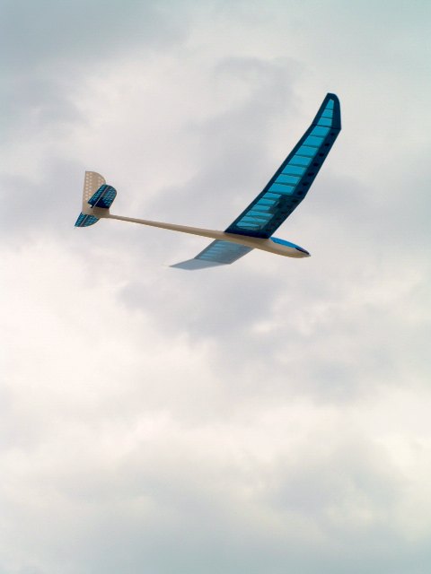 P5066604 Web 表示用 (大).jpg