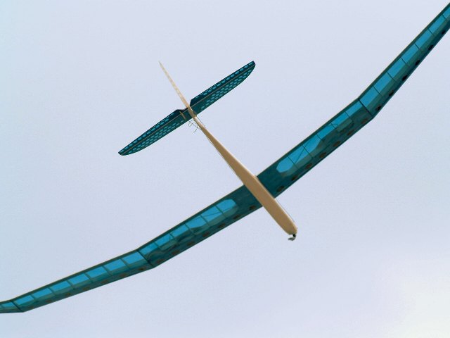 P5066543 Web 表示用 (大).jpg