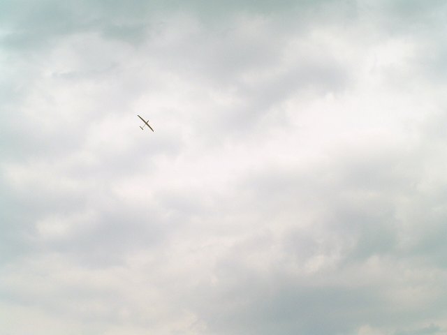 P5066651 Web 表示用 (大).jpg