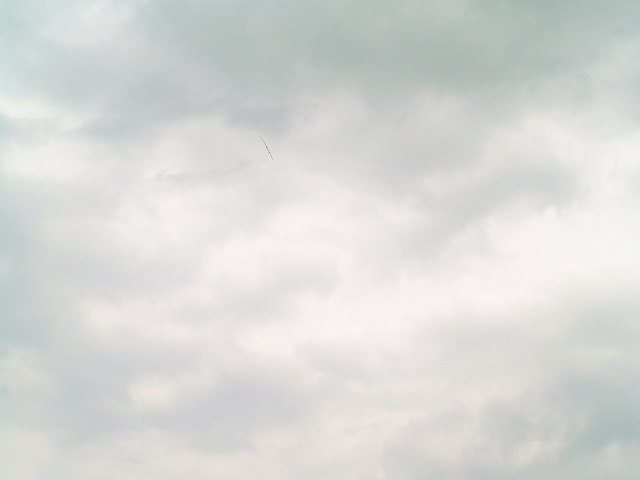 P5066652 Web 表示用 (大).jpg