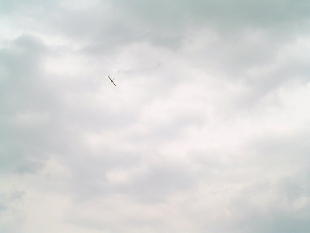 P5066653 Web 表示用 (大).jpg