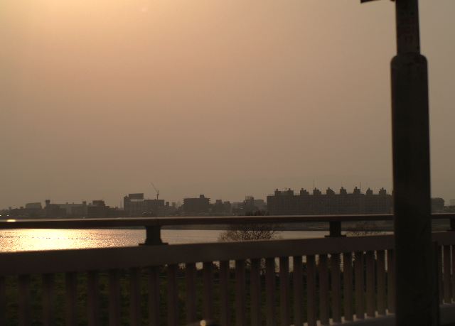 P4305812 Web 表示用 (大).jpg