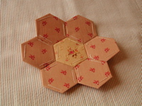 090305AlbumHexagon25.jpg