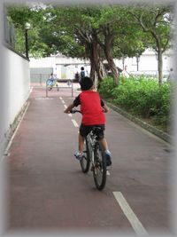 自転車道