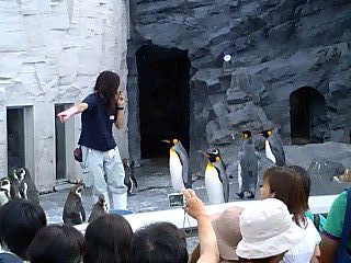 2007.08.03もぐもぐタイムペンギン