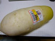 ミニ太大根