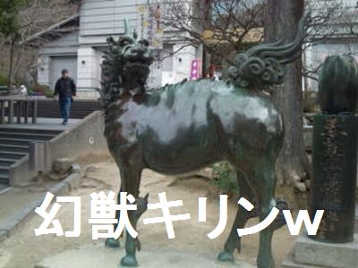 20110220133304.jpg