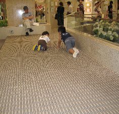 20060819 018-2.jpg