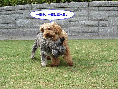 20070611_4.jpg