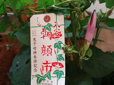 20070707_5.jpg