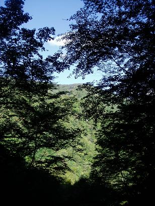 musoudou4