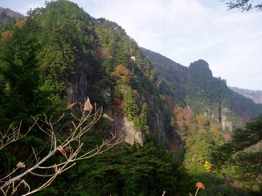 振り返って仙人グラ