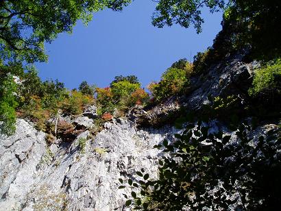 daihugen2