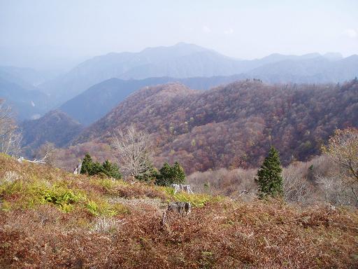 迷岳方面