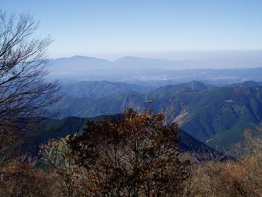 大天井から