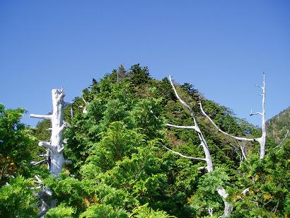 daihugen5