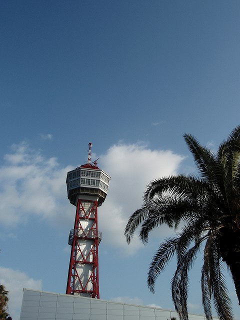1.small-P3200595.jpg