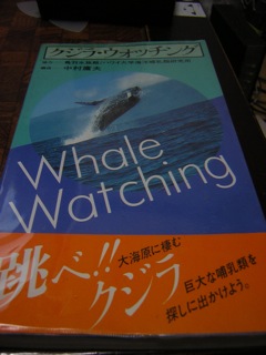 クジラ・ウォッチング