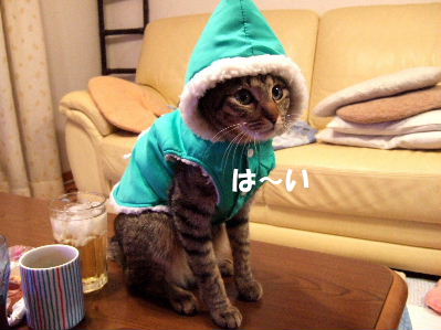 2008_1231春ちゃん0037.JPG