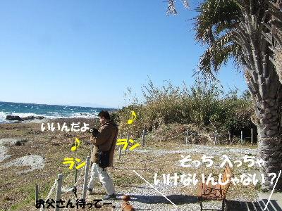 2009_0126hinanonn0023.JPG