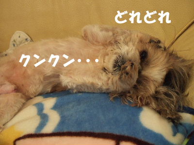 2007_0124ロッキー0034.JPG