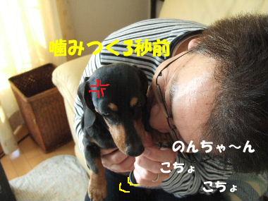 のんちゃん.JPG