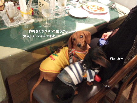2006_1021那須0008.JPG