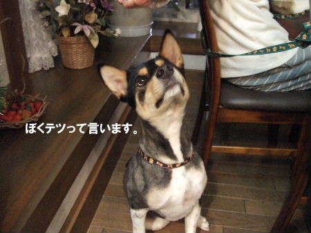 2006_1021那須0018.JPG
