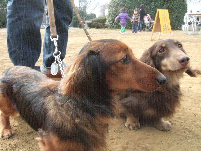 2009_0216hinanonn0009.JPG